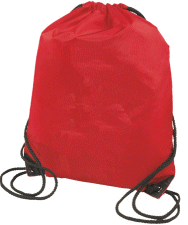 Medium Sport Bag